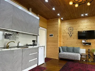 کلبه یک خوابه جنگلی روم 1