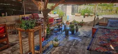 بومگردی ملکا 1 - طلایی