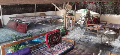 بومگردی ملکا 1 - طلایی