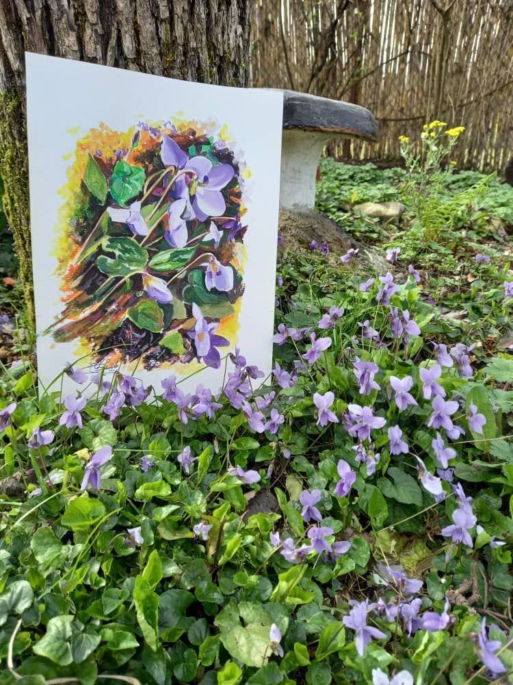 بانوی گیلان - واحد رز