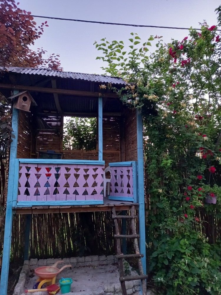 بانوی گیلان - واحد رز