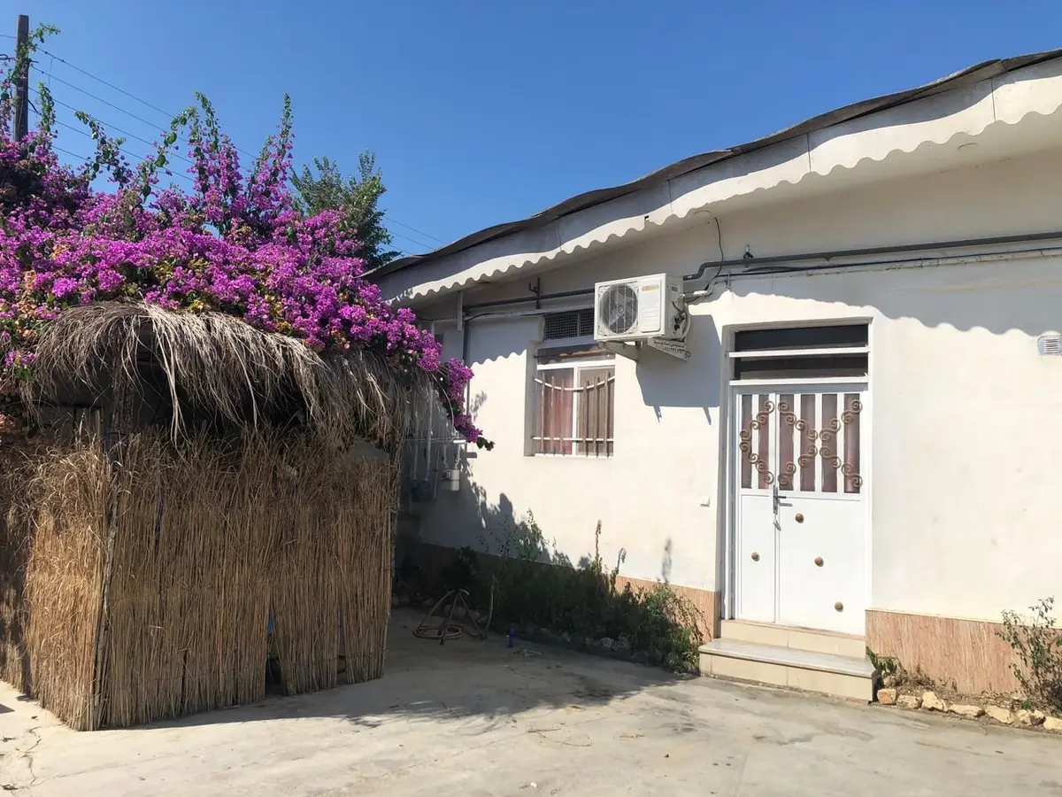 سوئیت یک خوابه گل کاغذی 1