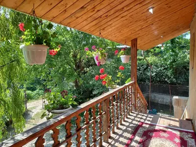 کلبه دوخوابه جنگلی کورش