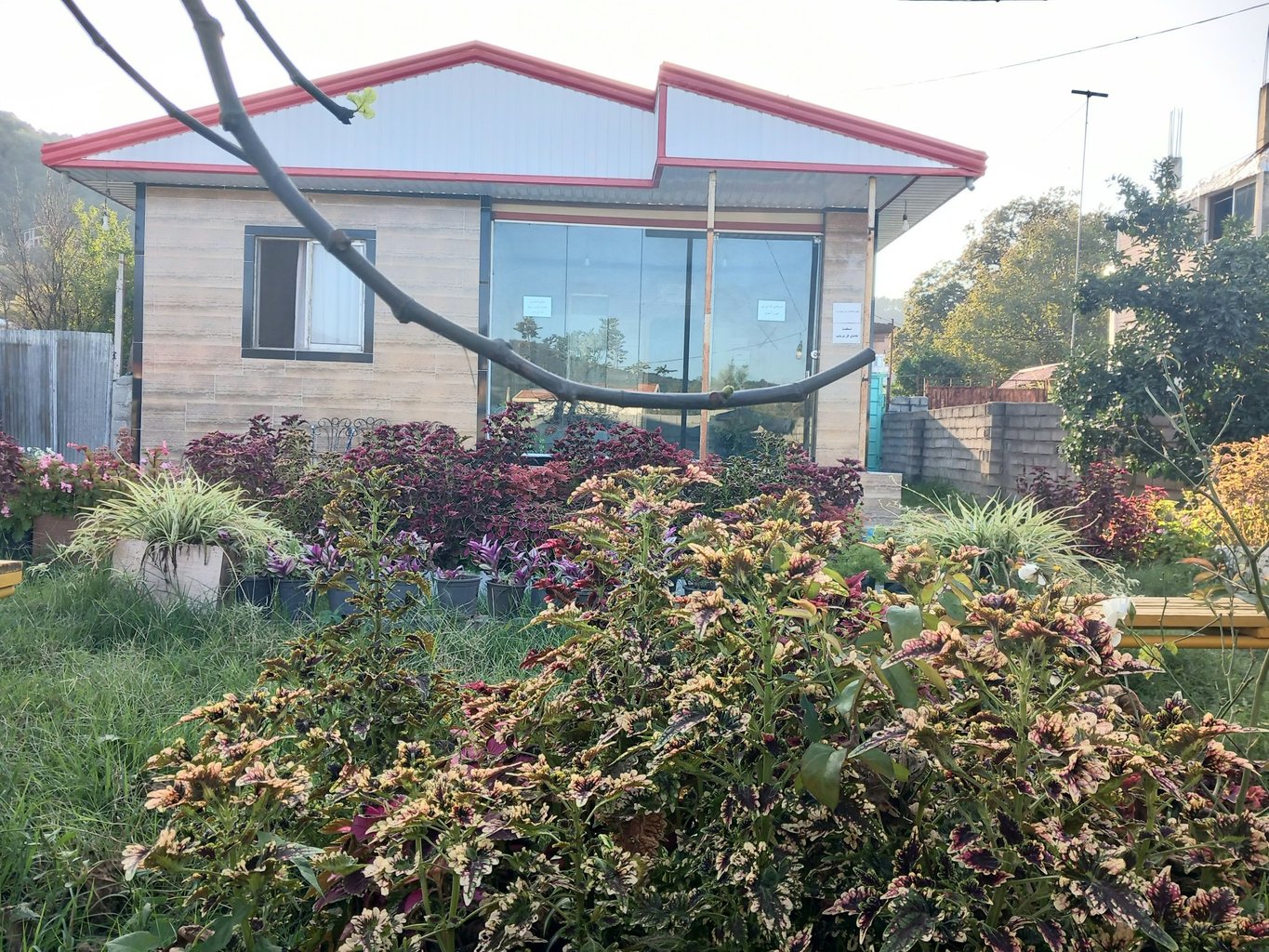 دوخوابه ماه تی تی