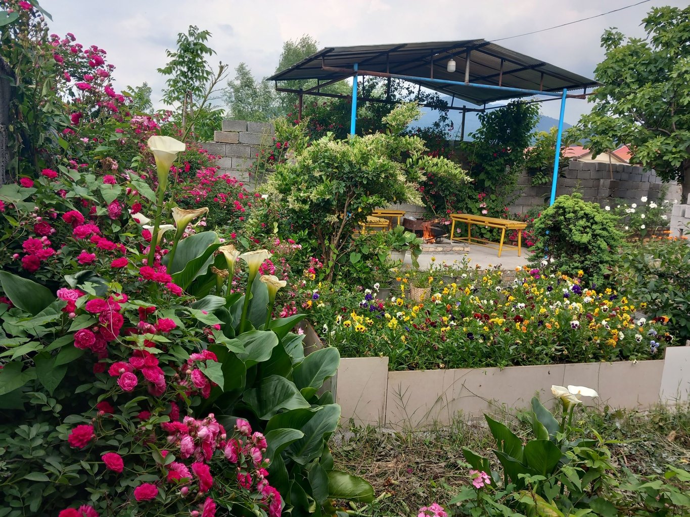 دوخوابه ماه تی تی