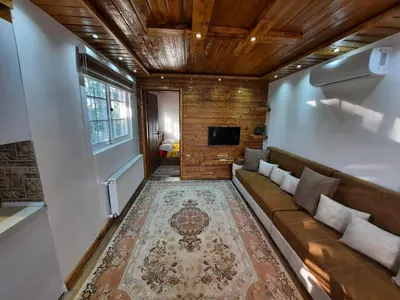 ویلا یک خوابه جنگلی مردابی