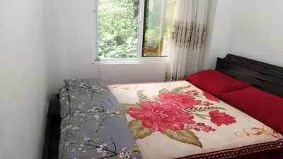 ویلا دوخوابه جنگلی گیجاب