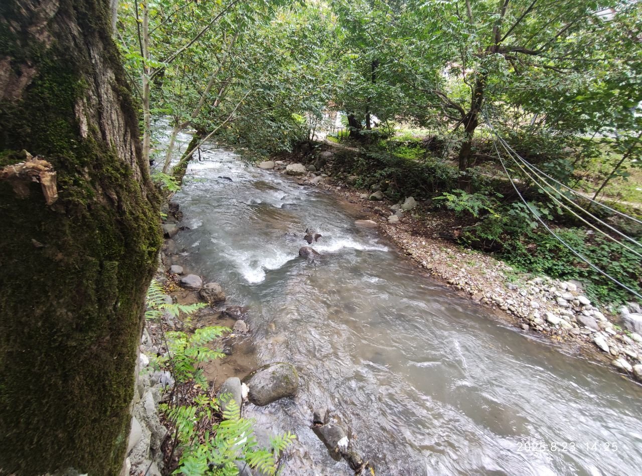 ویلا دوخوابه جنگلی گیجاو