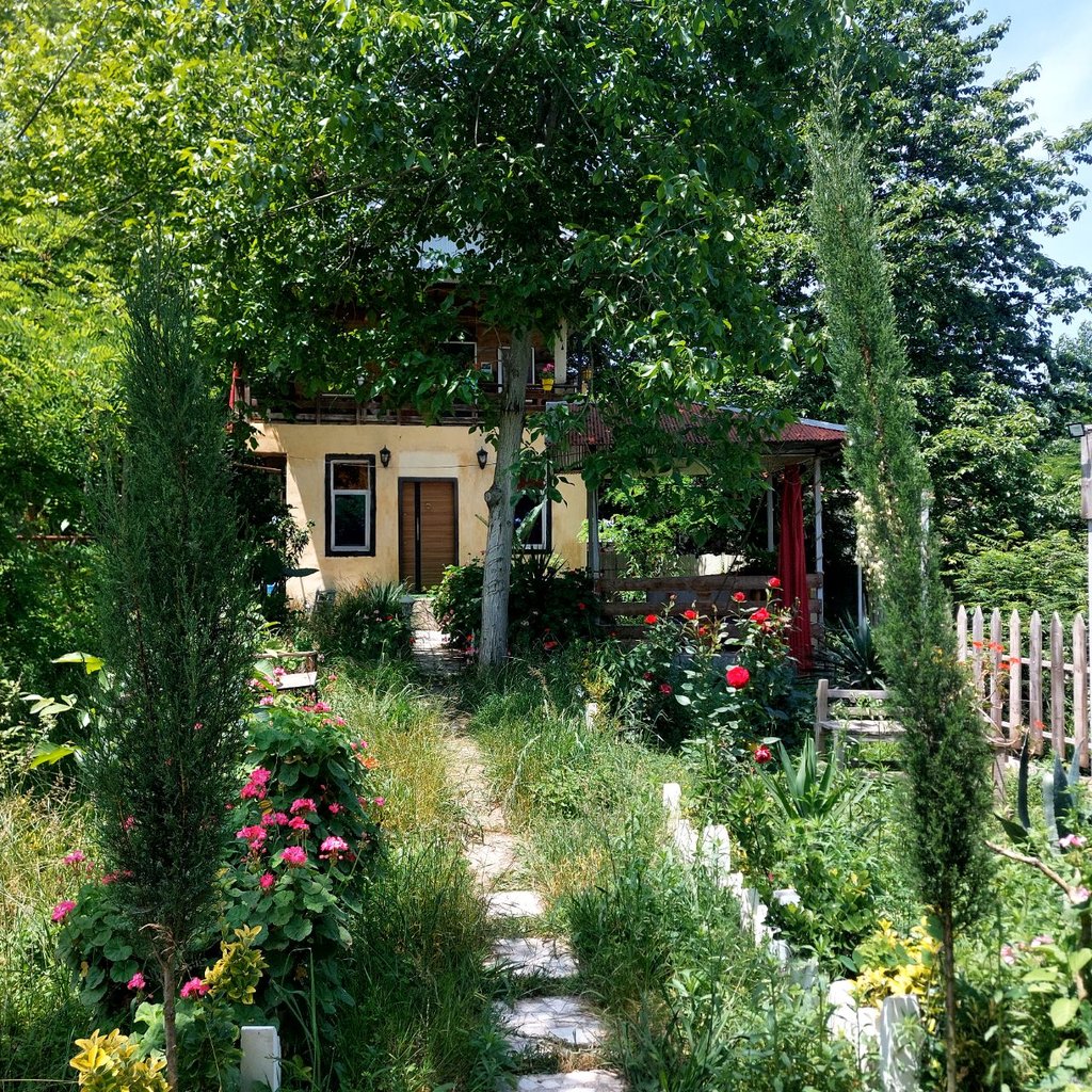 دوخوابه چوبی هما