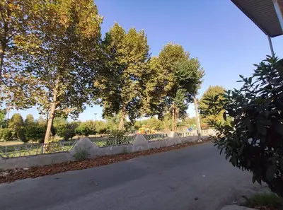 سوئیت یک خوابه ابریشم 1