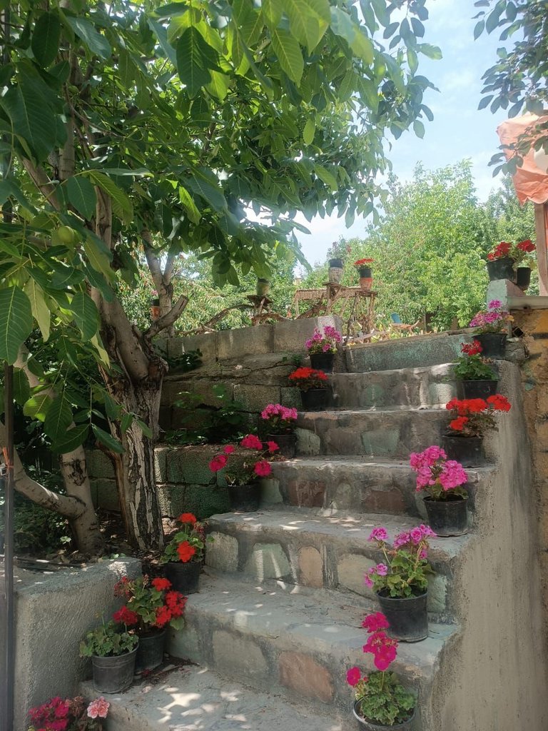 بومگردی چشم جهان - واحد 1