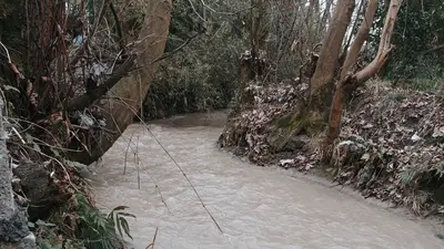 ویلا دو خوابه صدف 11