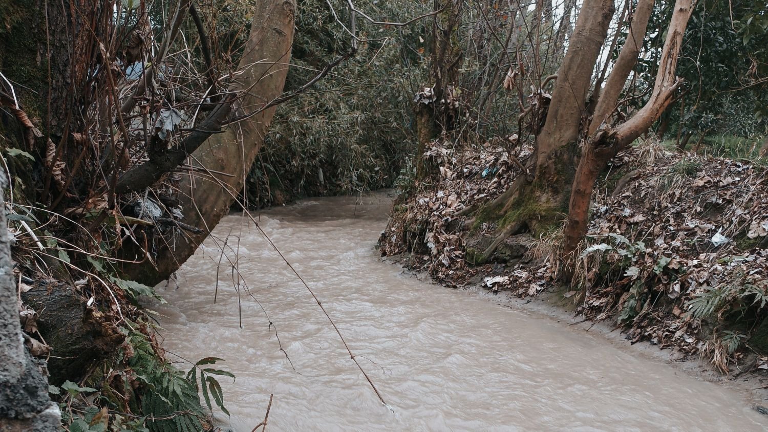 ویلا دو خوابه صدف 11