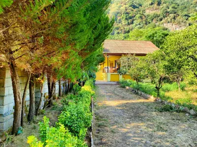 ویلا یک خوابه جنگلی تمشک