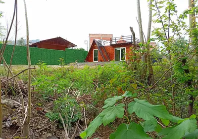 کلبه یک خوابه سوئدی شاهان