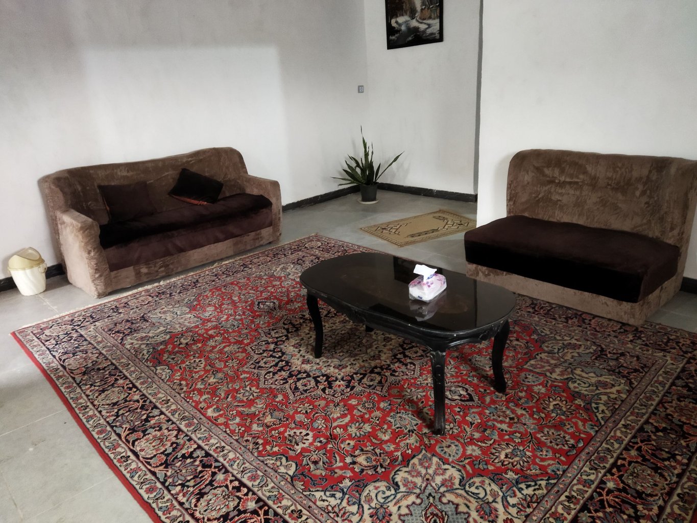 سوئیت سوئیت جنگلی لاهیجان  واحد لوکا