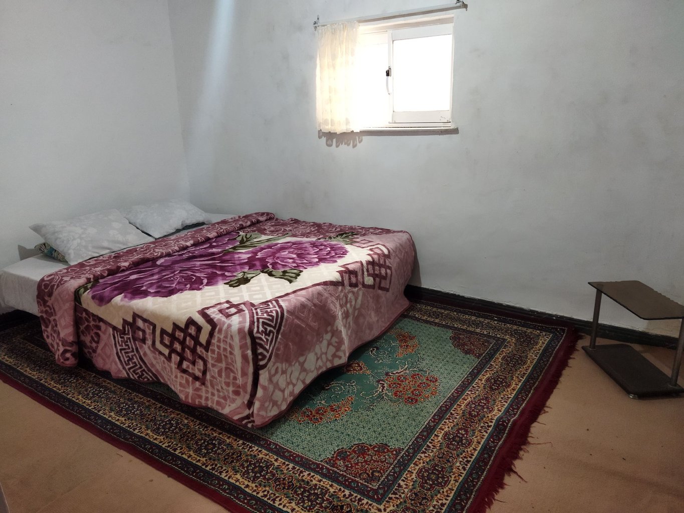 سوئیت سوئیت جنگلی لاهیجان  واحد لوکا