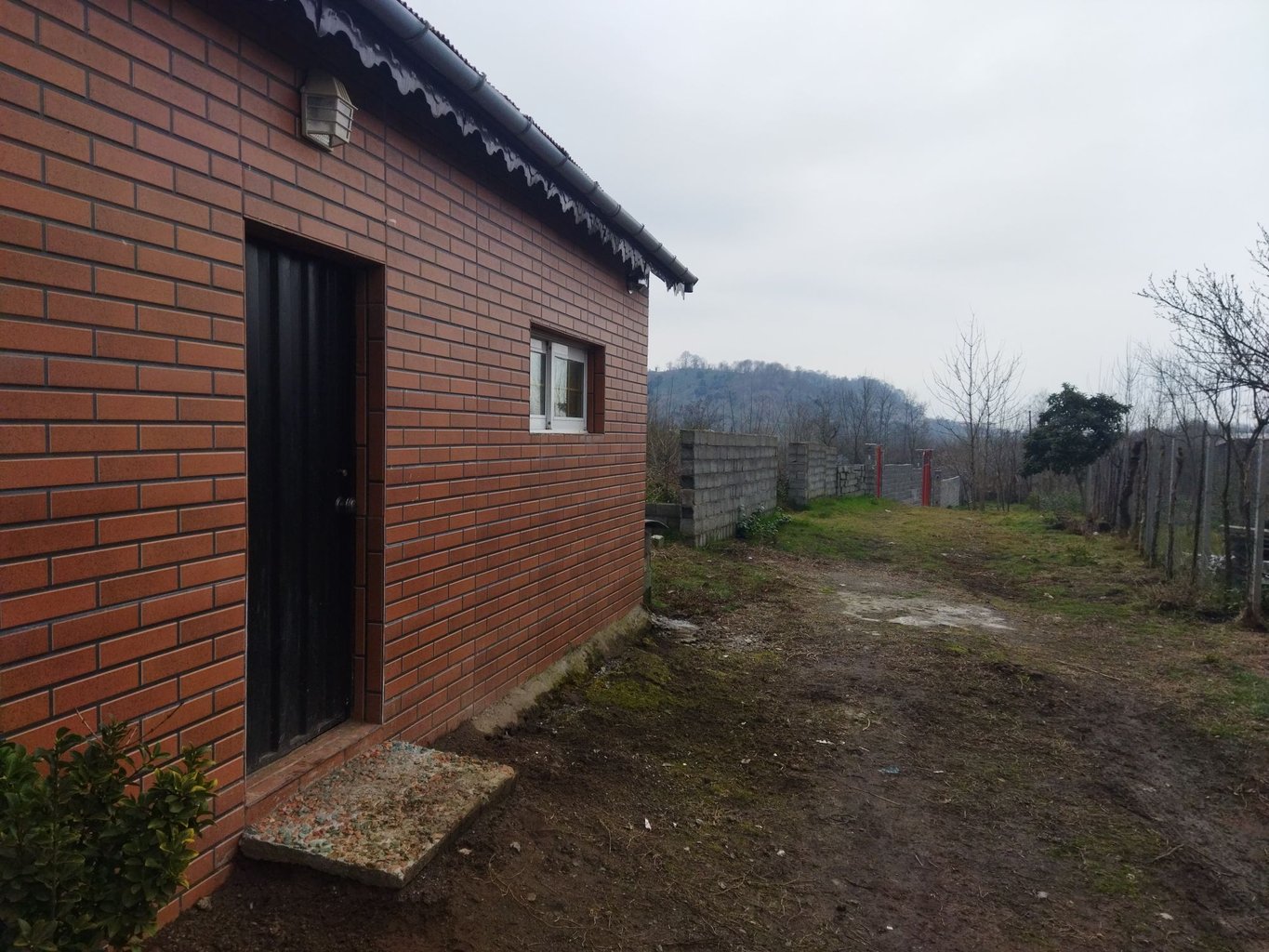 سوئیت سوئیت جنگلی لاهیجان  واحد لوکا