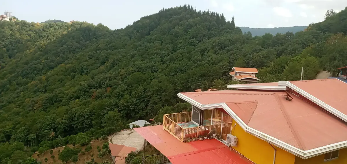 ویلا دوخوابه جنگلی دالیخانی - ویو