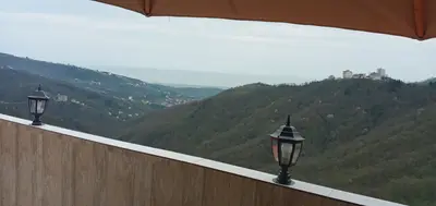 سوئیت فلت جنگلی شاهنشین