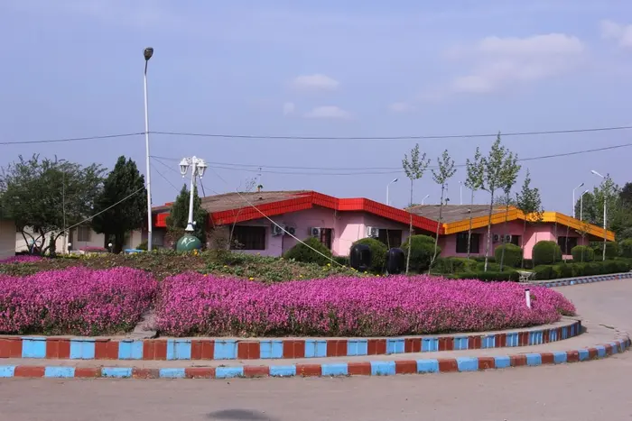 سوئیت یک خوابه نارنجستان