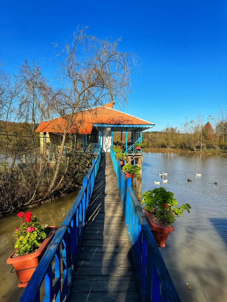 اقامتگاه سنتی آب - واحد کچا - پل چوبی