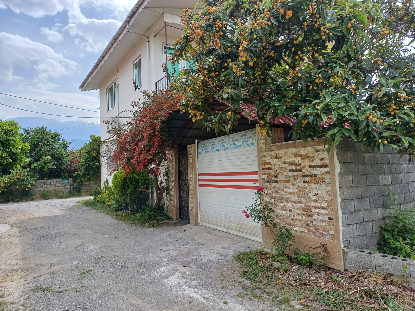 دوخوابه پوریا 1