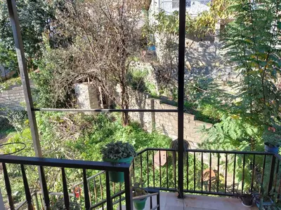 سوئیت یک خوابه رئیس 2