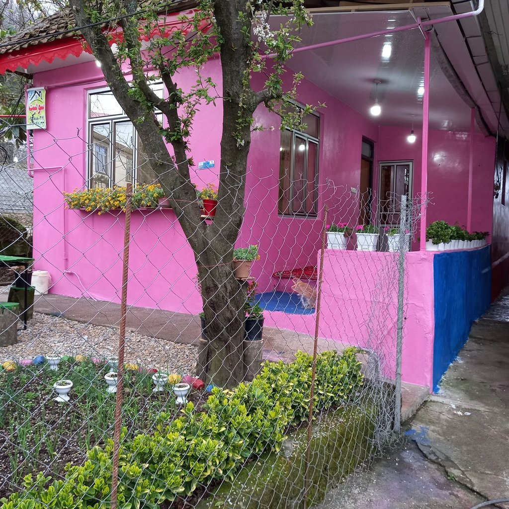 ویلا یک خوابه جنگلی مارینا 1