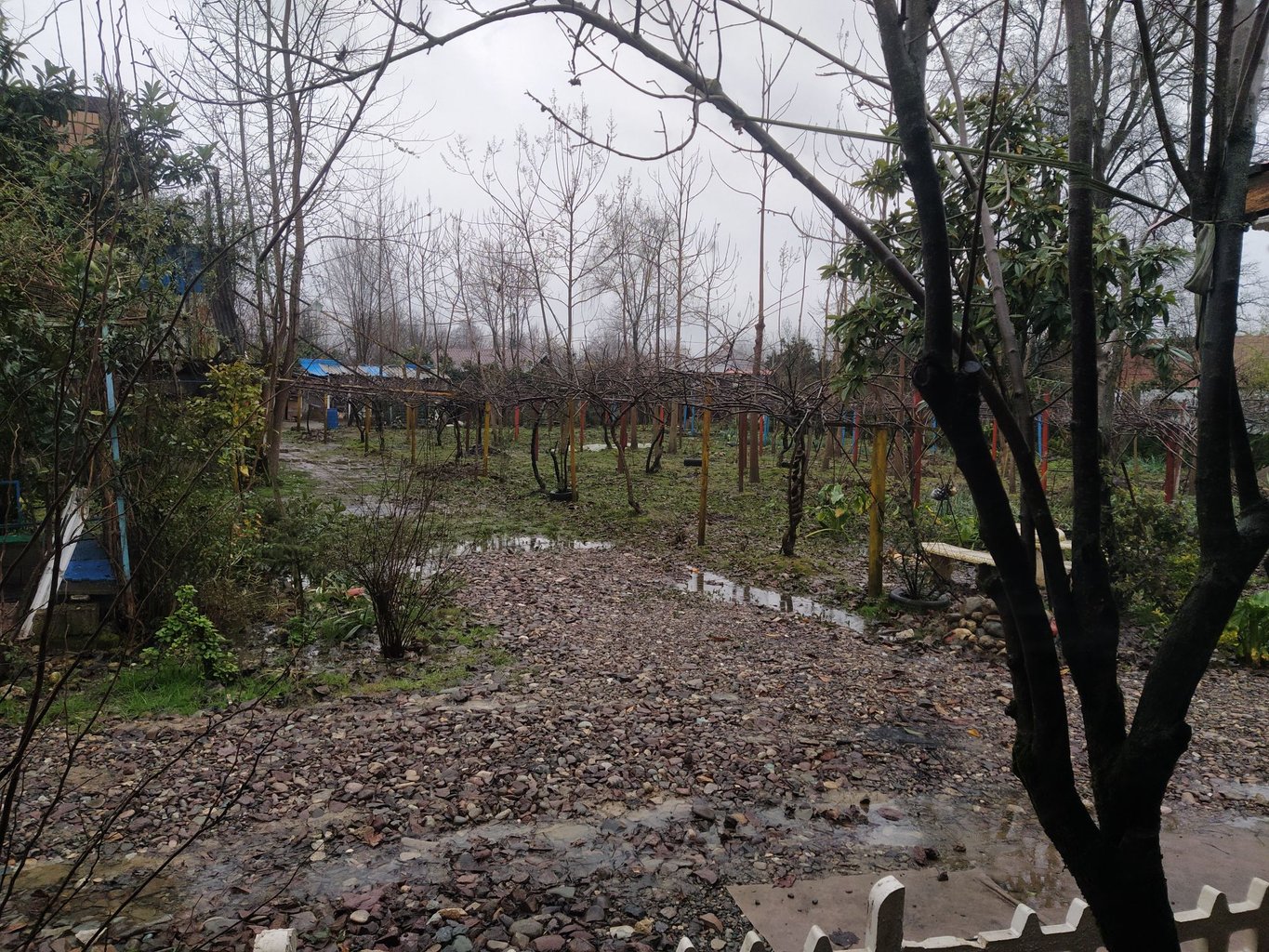 سوئیت فلت خانوادگی باغ رضوان 3