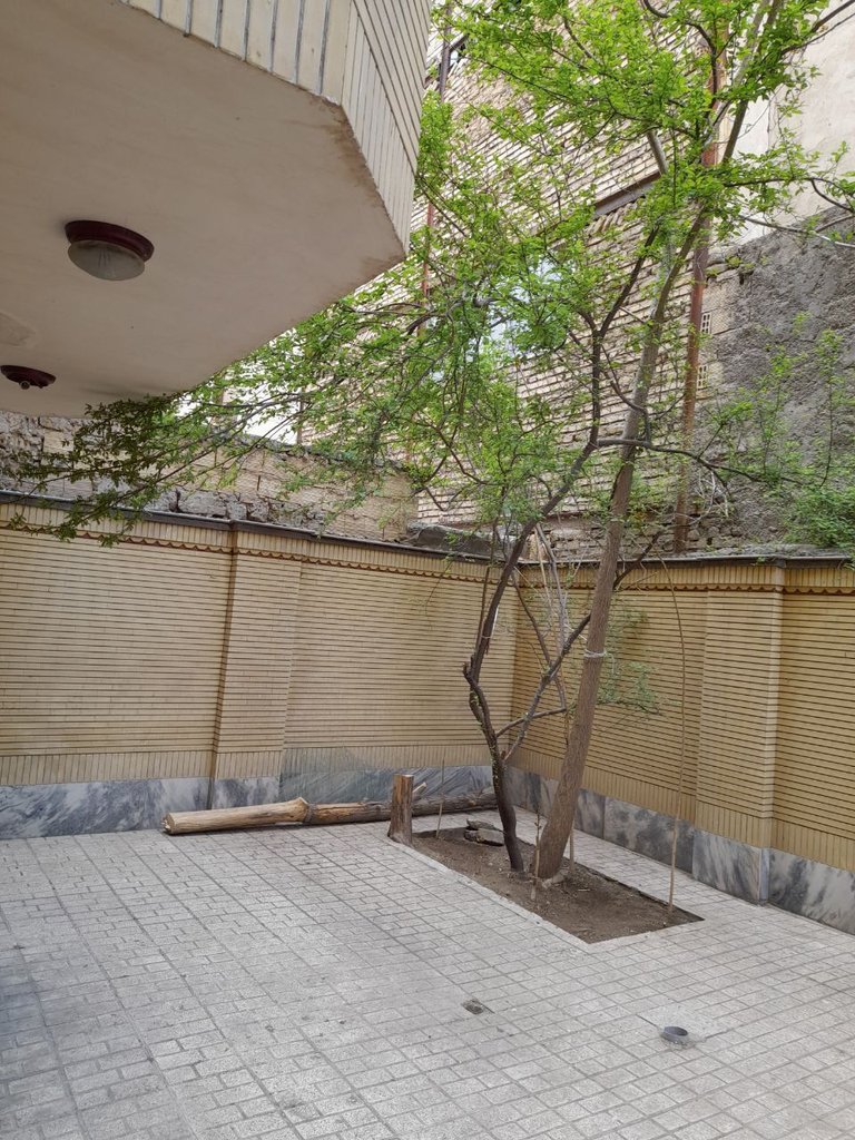 اجاره روزانه آپارتمان یک خوابه گلبرگ 2 مشهد