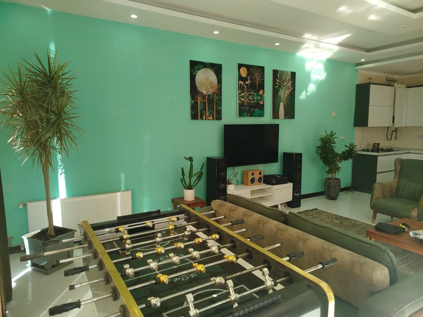 ویلا دوخوابه استخردار آبگرم هادی 1