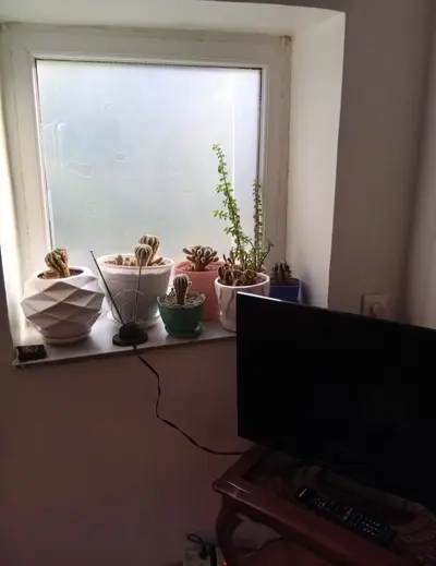 سوئیت یک خوابه ولایت رود