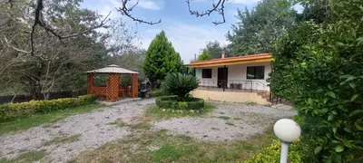 ویلا دوخوابه جنگلی چمستان جنگل کشپل