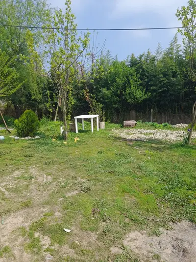 سوئیت یک خوابه رعنا 3