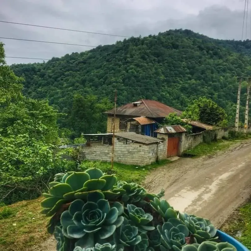 سوئیت یک خوابه رئیسکلا