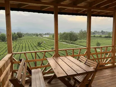 بومگردی تی باغ واحد 1