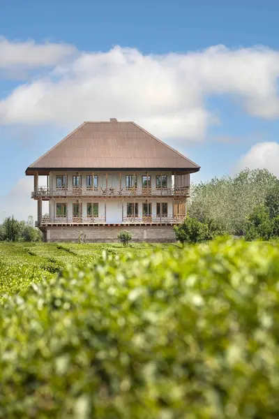 بومگردی تی باغ واحد 6