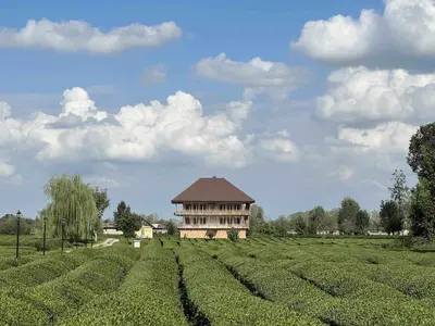 بومگردی تی باغ واحد 1