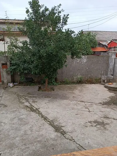 ویلا یک خوابه رز 1