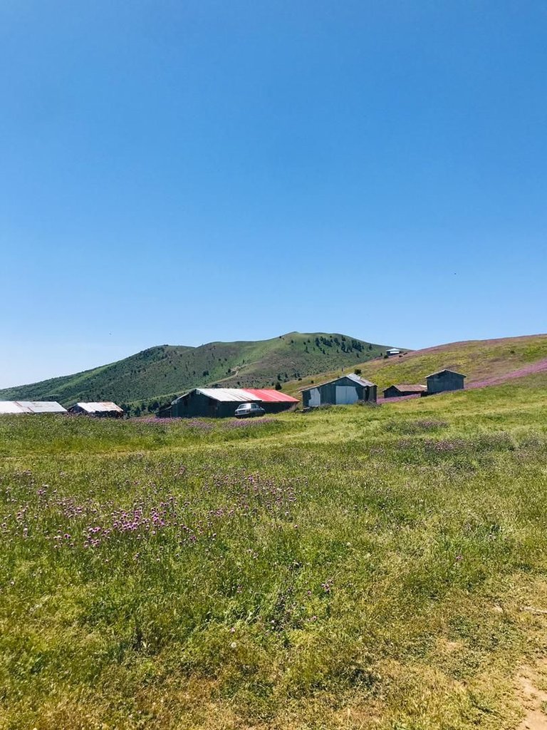 ستاره گیلان - واحد ستاره ۷