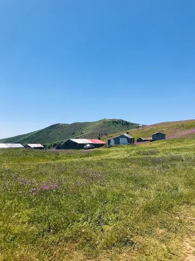 بومگردی ستاره گیلان - واحد ستاره ۷