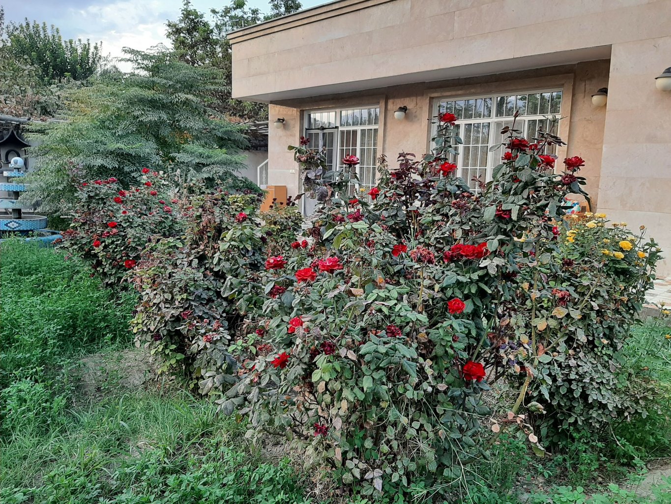 ویلا یک خوابه باغ دلگشا 1