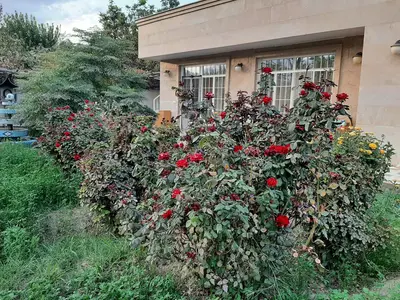 ویلا یک خوابه باغ دلگشا 1