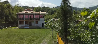 سوئیت دوخوابه جنگلی شولم