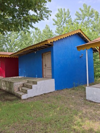 سوئیت یک خوابه دریا باغ پیچک