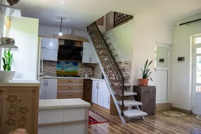 ویلا یک خوابه جنگلی شالیزار 