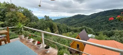 آپارتمان یک خوابه جنگلی ناروَن جواهرده