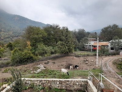 ویلا یک خوابه کوهستانی خودمونی