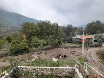 ویلا یک خوابه کوهستانی خودمونی